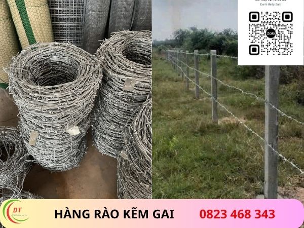 hàng rào kẽm gai